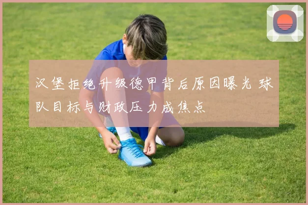 汉堡拒绝升级德甲背后原因曝光 球队目标与财政压力成焦点