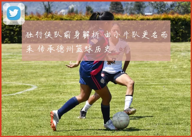 独行侠队前身解析 由小牛队更名而来 传承德州篮球历史