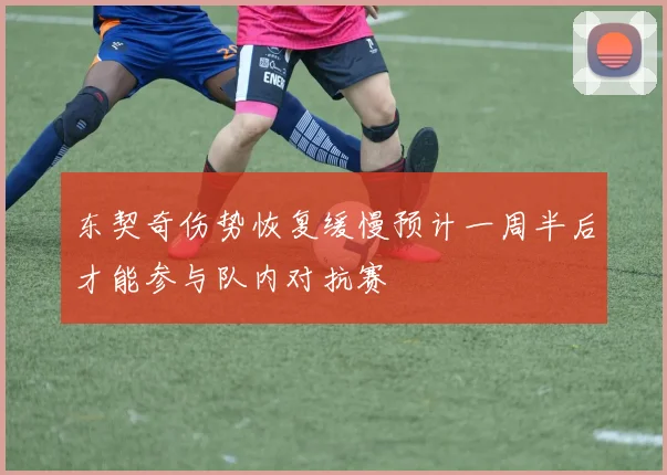 东契奇伤势恢复缓慢预计一周半后才能参与队内对抗赛