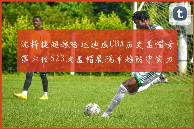 沈梓捷超越哈达迪成CBA历史盖帽榜第六位623次盖帽展现卓越防守实力